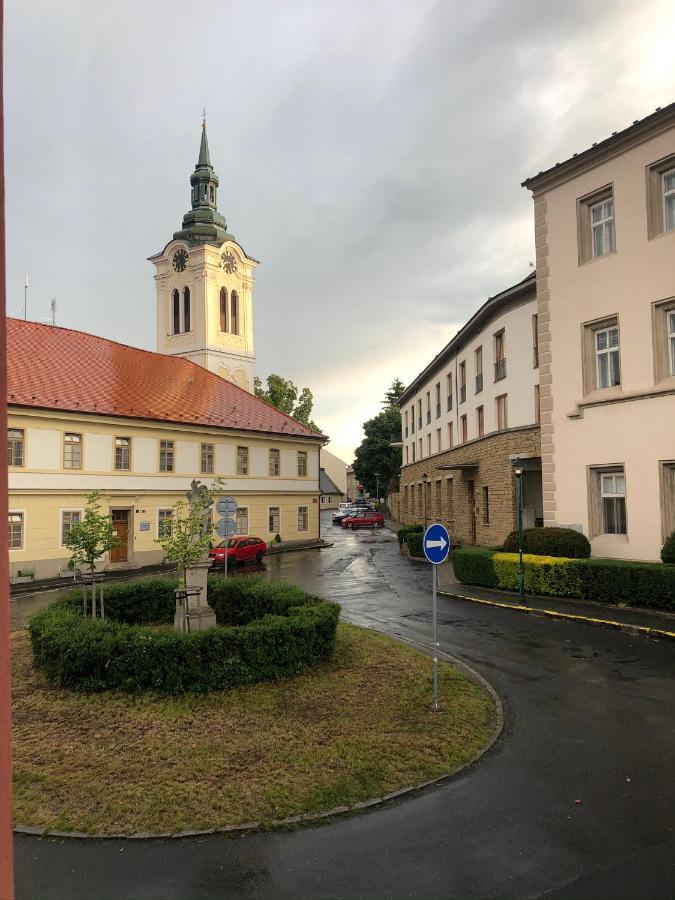 Villa Magdalena Кутна Гора Екстер'єр фото