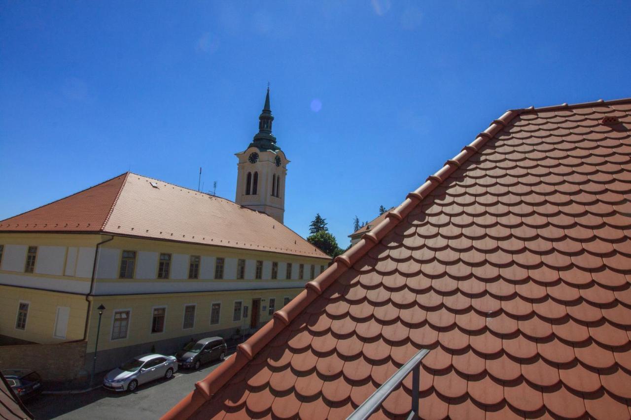 Villa Magdalena Кутна Гора Екстер'єр фото